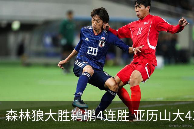 森林狼大胜鹈鹕4连胜 亚历山大43分雷霆克骑士