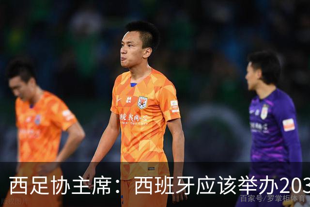西足协主席：西班牙应该举办2030世界杯决赛，我们各方面条件最优